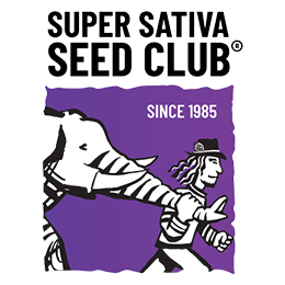 super-sativa-seed-club